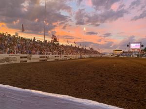 preston rodeo arena